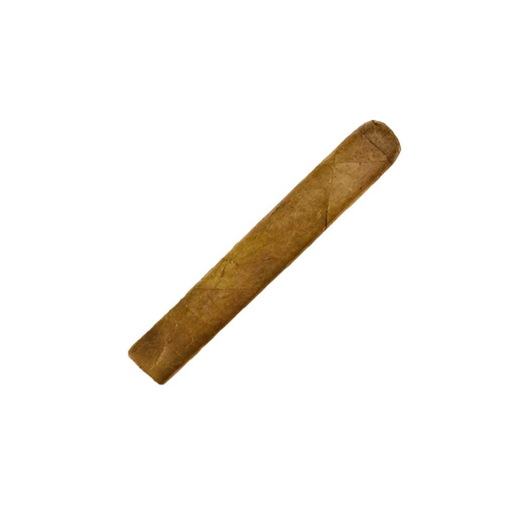 Gordo Boxpress Habano 6x60