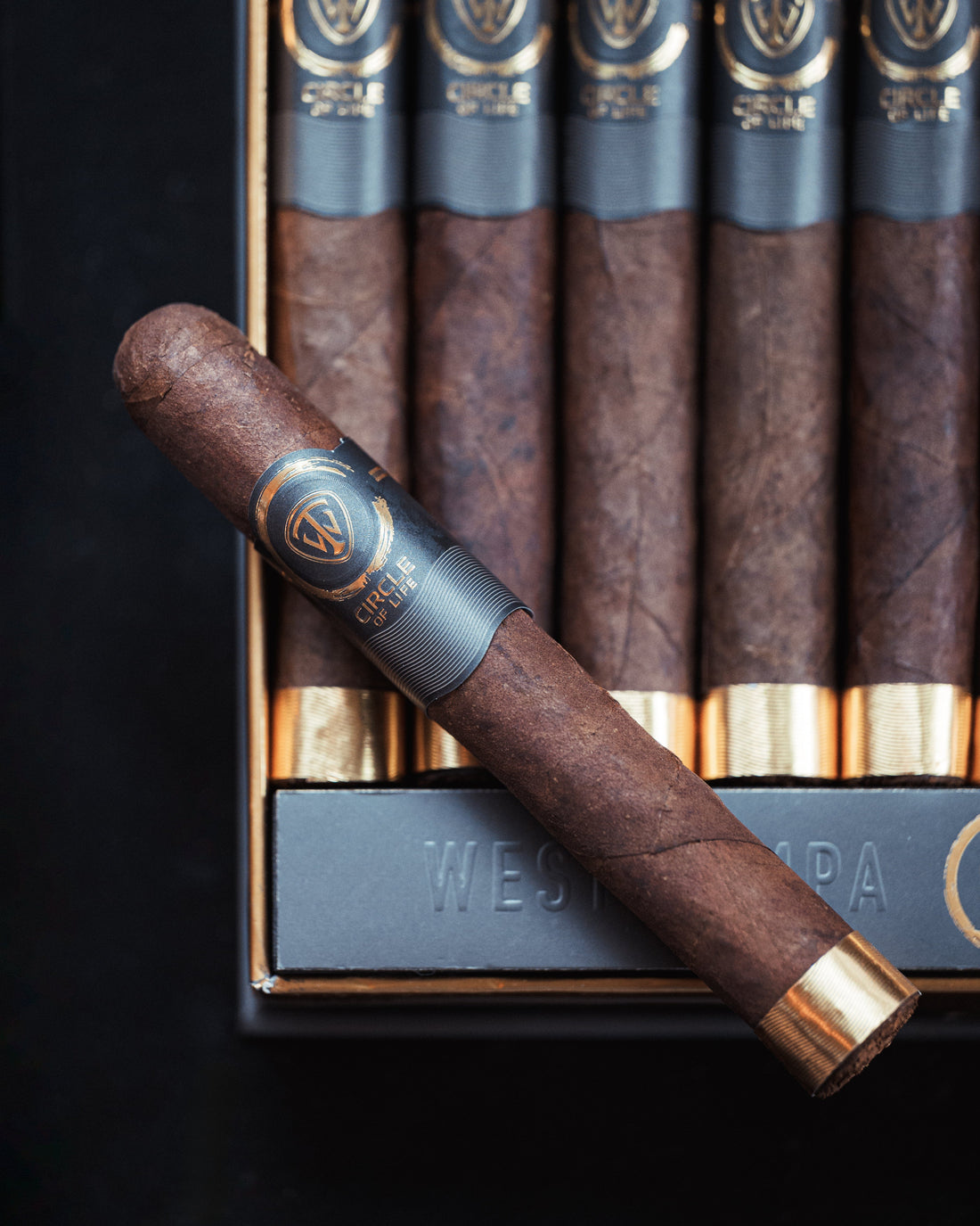 close-up of premium hand-rolled cigars on mahogany table with soft golden light