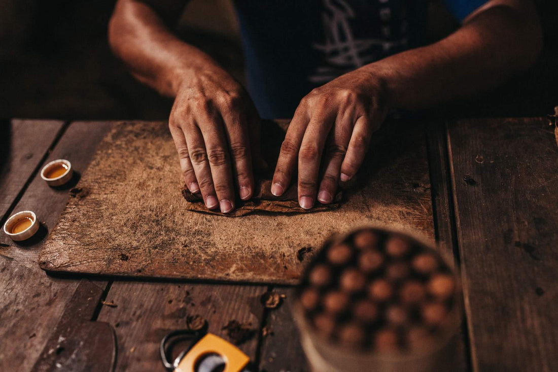 Explore Premium Cigars at Cozy Cigars Shop – Your Ultimate Cigar Destination