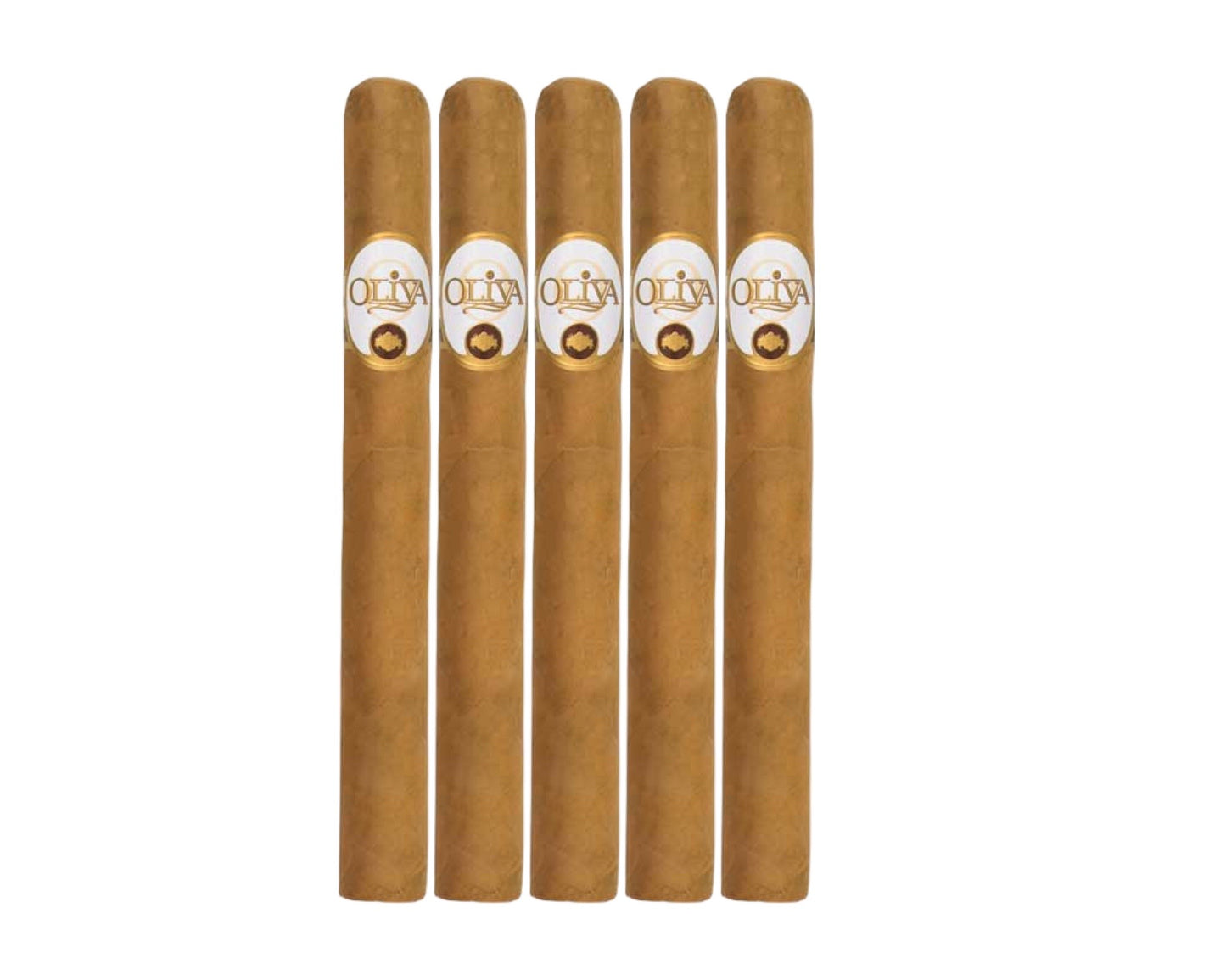 Connecticut Reserve Churchill