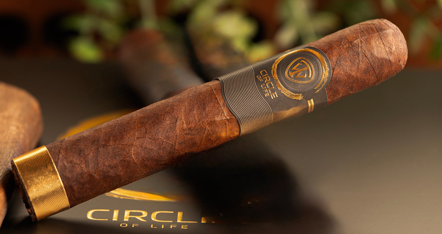 West Tampa Circle Of Life Toro