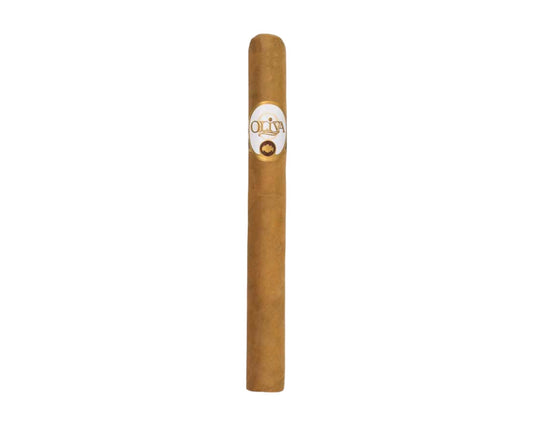 Connecticut Reserve Churchill