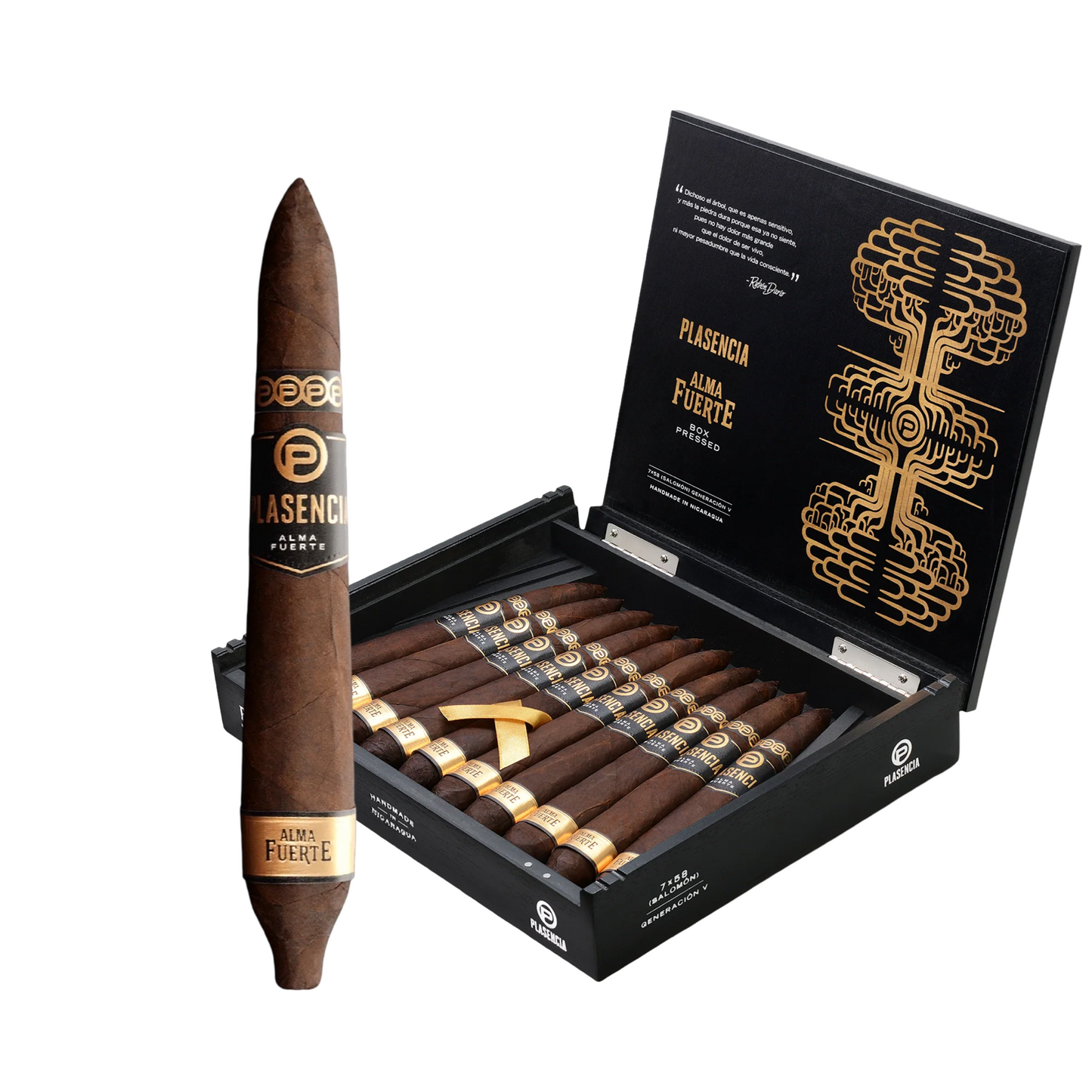 Plasencia Alma Fuerte Salomon