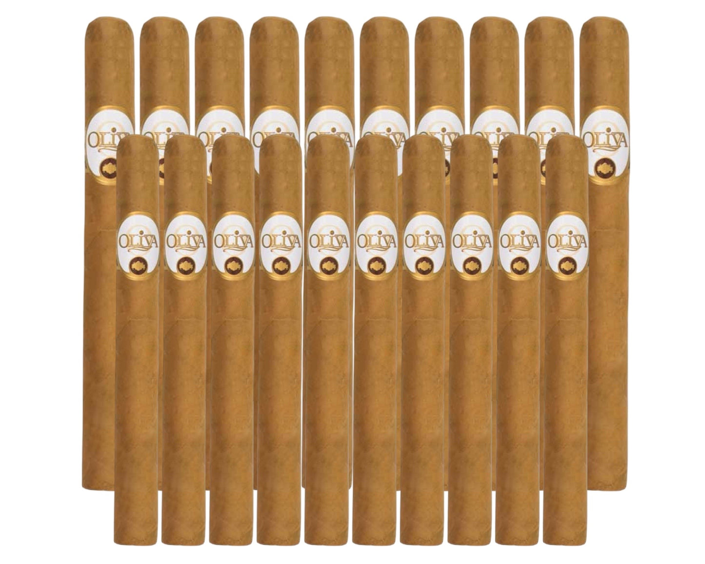 Connecticut Reserve Churchill