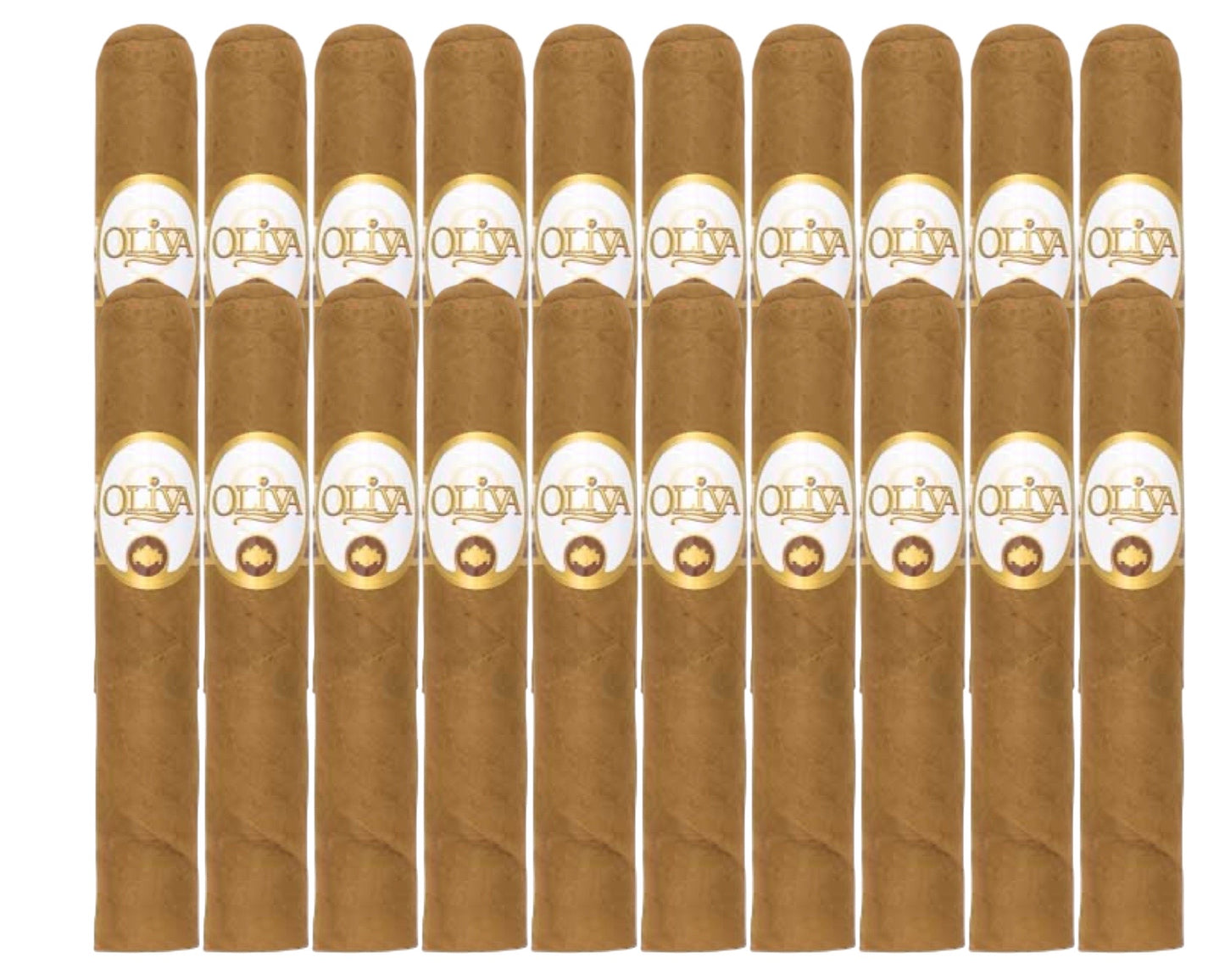 Connecticut Reserve Robusto