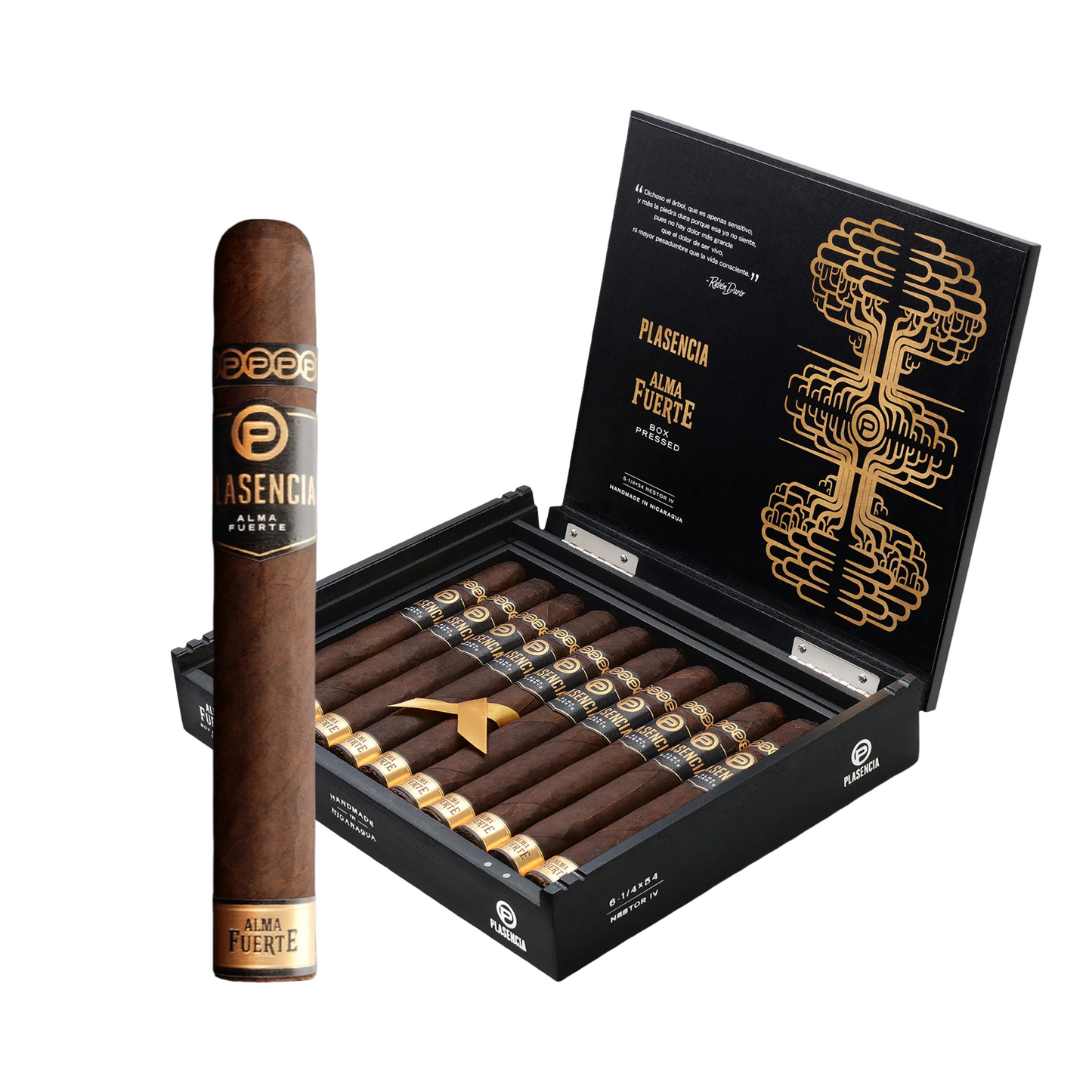 Plasencia Alma Fuerte Toro